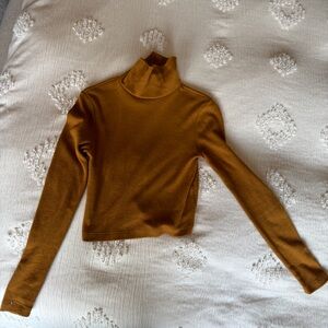 Cropped Turtleneck Sweater
